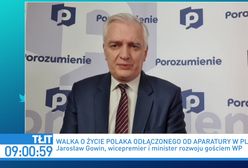 Polak w Anglii ma szanse na powrót? Gowin: nie będziemy wywierać presji na rodzinie