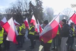 Co dalej z UE-Mercosur? Wśród naszych rozmówców panuje pesymizm