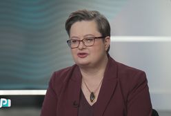 Lubnauer o Hołowni. Padło porównanie do Ikara