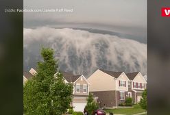 Niesamowite nagranie z USA stało się hitem w sieci