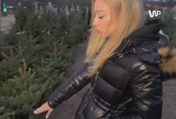 200 złotych za choinkę. "Cen nie zmieniamy"