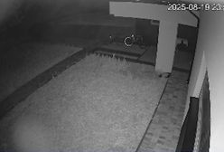 Nagranie z Osin. Słychać głośną eksplozję