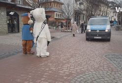 Górale o misiu z Zakopanego. "Dla mnie to jest absurd"