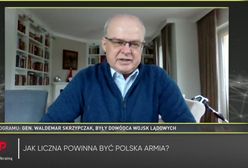 300 tys. żołnierzy w polskiej armii. "Proces rozłożony na lata"