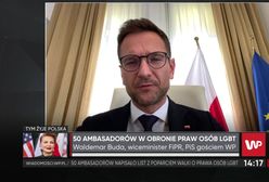 List ambasadorów ws. LGBT. Waldemar Buda krytykuje Albanię. "To jest niepoważne"