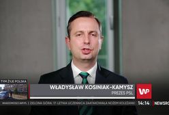 Władysław Kosiniak-Kamysz komentuje wypowiedź Georgette Mosbacher: To reakcja na "głupie słowa" polityków PiS