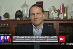 Radosław Sikorski komentuje słowa wiceszefowej PE: "Naszym nacjonalistom wszystko kojarzy się z jednym"