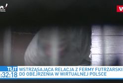 Wstrząsające nagrania z fermy norek. Reakcja Beaty Kempy