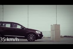 Volvo XC60 - test systemu City Safety