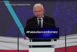 Jarosław Kaczyński wskazuje obrońców pedofilów: to PO i jej sojusznicy