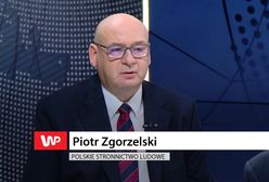 "Emocje, adrenalina". Piotr Zgorzelski strofuje Stefaniaka za słowa o Kukizie