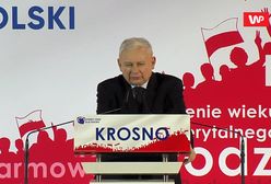 Konwencja PiS w Krośnie. Jarosław Kaczyński: Polska została zrabowana