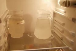 Płynna amfetamina. CBŚP zlikwidowało laboratorium i dwie plantacje