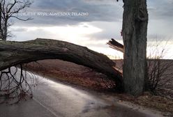 Niż Bennet sieje spustoszenie. Będzie wiać nawet 90 km/h