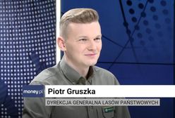 Po choinki "prosto z lasu" ustawiają się kolejki. Drzewko od leśnika jest znacząco tańsze