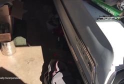 Piękny chevrolet zakopany pod gratami w garażu. Dopiero po 5 godzinach pracy udało się wyciągnąć auto