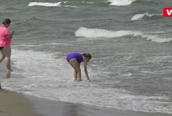 Nad Bałtykiem słońce, a na plażach parawany