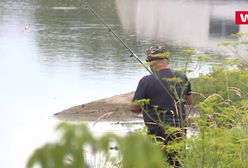 Ludzie na własną rękę zaczynają szukać pytona. Musiała interweniować policja