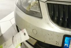 Wystarczy wydać 8 zł, żeby pozbyć się owadów z auta. Szmatka z supermarketu zdaje egzamin