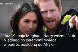 Wiemy, gdzie Meghan Markle i książę Harry spędzą miesiąc miodowy