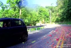 Arbuzy spadły wprost pod koła motocyklisty, epicka podróż z dzieckiem i wypadki w Nascar