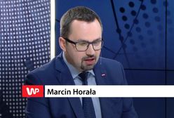 19. dzielnica dla Gdyni? Kandydat PiS Marcin Horała zdradza plan