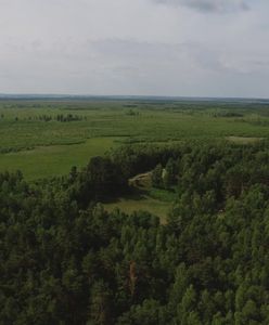 Biebrzański Park Narodowy: unikatowy teren na skalę europejską