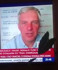 Prowadzący w TVP Info żartował z teściowej Donalda Tuska. "Ona rządzi PO"