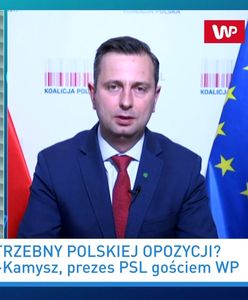 Zaskakujące doniesienia o Donaldzie Tusku. Władysław Kosiniak-Kamysz komentuje