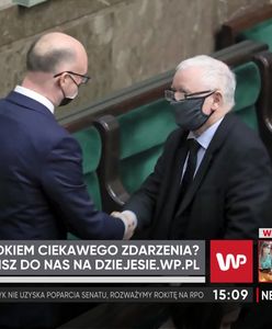 Piotr Wawrzyk na RPO dzięki PSL? "To byłoby trzęsienie ziemi w polskiej polityce"