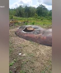 "Radioaktywny" przedmiot spadł z nieba. Odkrycie na farmie w Azji