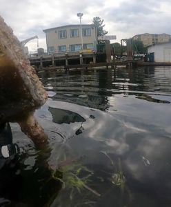 Zanurkował w oceanie. Na dnie znalazł coś niezwykłego