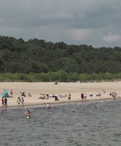 Cztery złote za toaletę nad morzem. "W lesie nie da się chodzić"