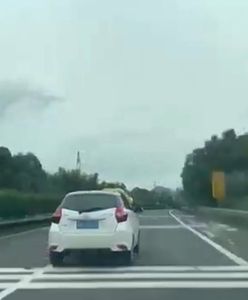 Ogromny pyton na samochodzie na autostradzie w Chinach