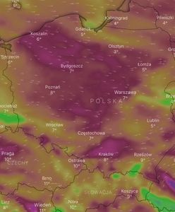 Pogoda. Kiedy będzie ciepło? Niestety, na prawdziwą wiosnę trzeba będzie poczekać