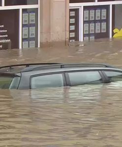Szczury płyną na worku. Tak ratują się przed powodzią w Kłodzku