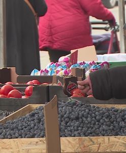 Uciekła ze stoiska. Awantura emerytek o PiS