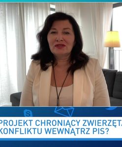 "Piątka dla zwierząt". Jarosław Kaczyński z poparciem opozycji? Jest ważna zapowiedź