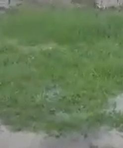 Pogoda w Polsce. Burze, gradobicia, porywisty wiatr i ulewne deszcze. W Boże Ciało straż pożarna miała pełne ręce roboty