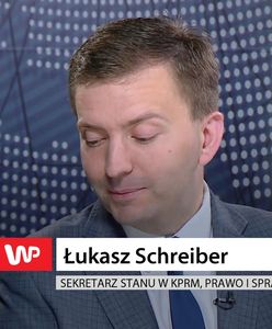 Łukasz Schreiber o wpisach Marka Suskiego: "metafory"