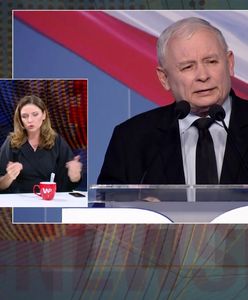 #Newsroom. Jarosław Kaczyński o "planie Rabieja". Joanna Mucha i Radosław Fogiel komentują