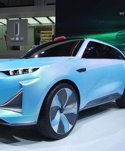 Frankfurt 2019: Wey - X i Wey – S. Przyszłość dla Europy?