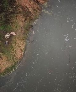 Jak policja szuka zwłok? Istnieją różne metody