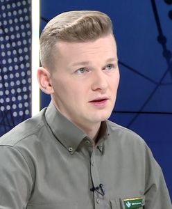 Samowolne wycięcie choinki w lasie jest zakazane. Mandat nawet do 500 zł