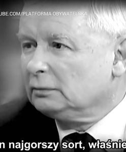 "Krwisty język kampanii". Michał Dworczyk w "Tłicie"; komentuje spot KE