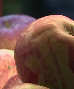 Rosną ceny jabłek w Polsce