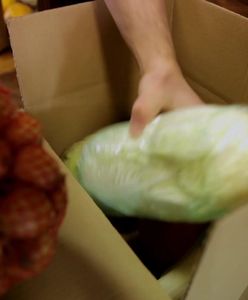 Pomysł na biznes: Żywność ekologiczna