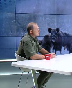 Maty przy wejściu do lasu? "Zacznie się sezon grzybowy, nikt nie dezynfekuje rączek, butów"