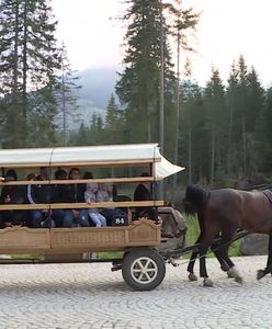 Turyści nie odpuszczają koniom z Morskiego Oka. „Widać, że są zajechane”