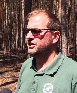 Pożary lasu w Potrzebowicach. "Pięć z nich zostało spowodowane celowym podpaleniem"